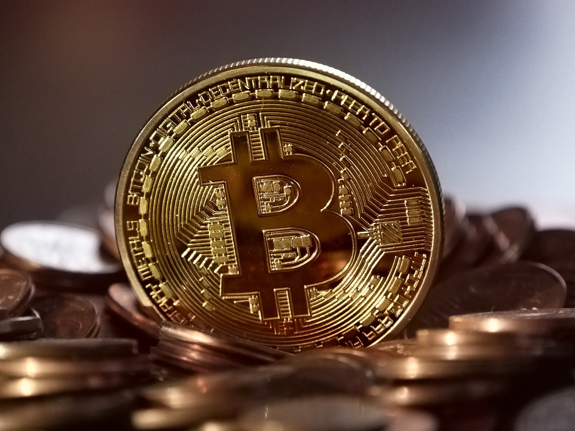 inpearl capital Bitcoin